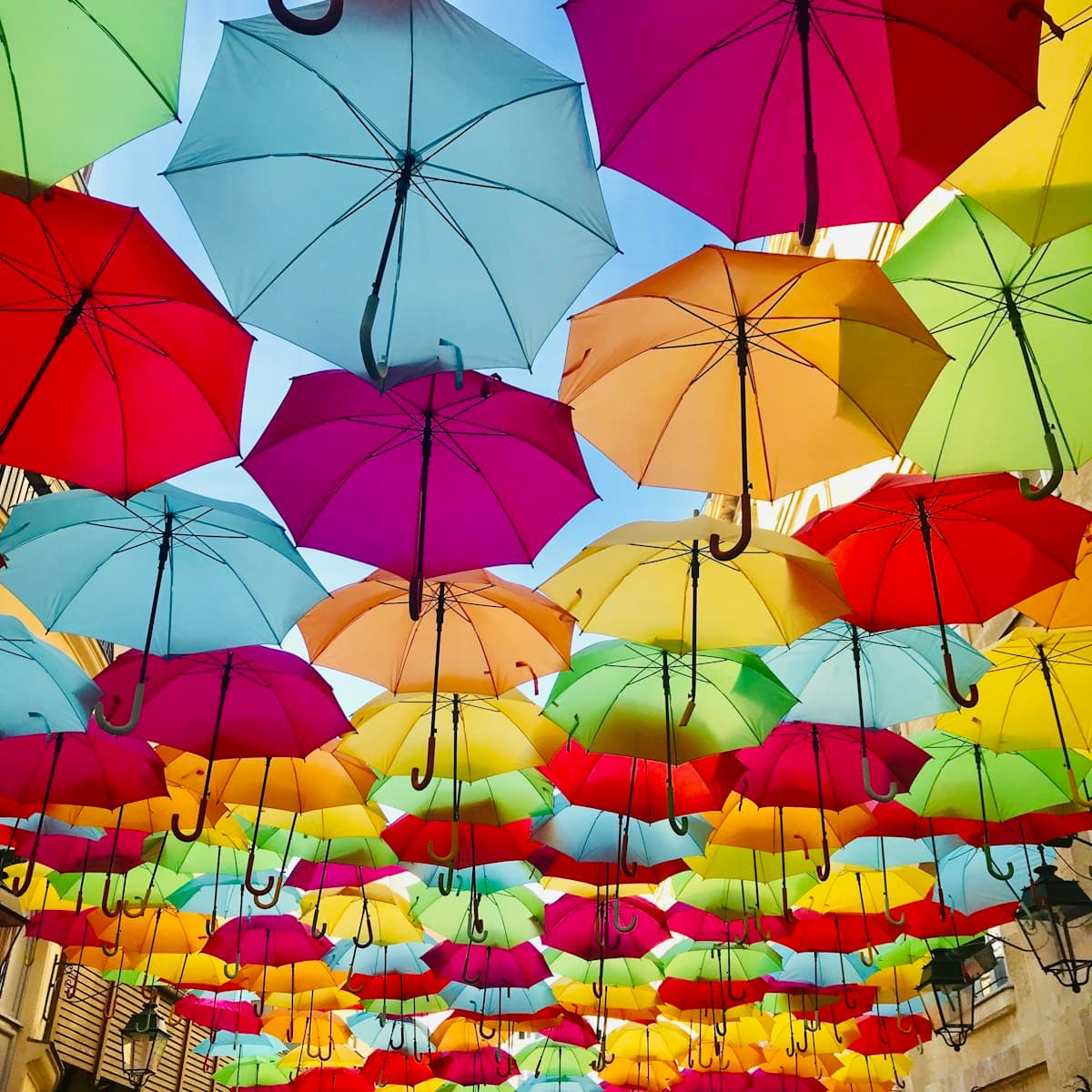 Canopy of colorful umbrellas suspended over a street